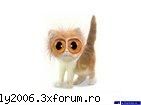 Poze funny - bylly2006 - Poze